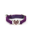 Jeweled Heart Cat Collar With Bell